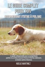 Le guide complet pour ton Chien Courant D'Istrie A Poil Ras