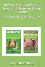 How to Care for Guinea Pigs and Nigerian Dwarf Goats