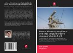 Antena Microstrip empilhada de banda larga polarizada dupla para banda S e C