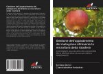 Gestione dell'appassimento del melograno attraverso la microflora della rizosfera