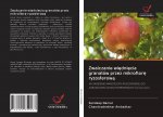 Zwalczanie wi?dni?cia granatów przez mikroflor? ryzosferow?