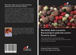 Mortalit? delle lumache Biomphalaria glabrata contro Pimenta dioica
