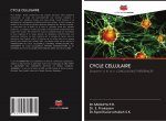 CYCLE CELLULAIRE