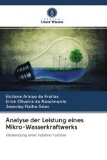 Analyse der Leistung eines Mikro-Wasserkraftwerks