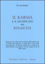 karma e il significato della rinascita