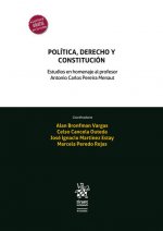 POLITICA DERECHO Y CONSTITUCION ESTUDIOS