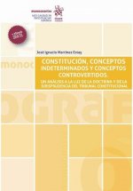 CONSTITUCION CONCEPTOS INDETERMINADOS Y CO