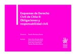 Esquemas de Derecho Civil de Chile II: Obligaciones y responsabilidad civil