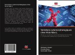 Variations cytomorphologiques chez Vicia faba L.