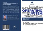 HYBRIDER SEITENERSETZUNGSALGORITHMUS IN ECHTZEITSYSTEMEN