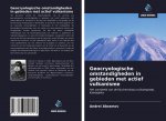 Geocryologische omstandigheden in gebieden met actief vulkanisme