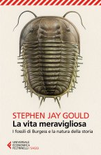 vita meravigliosa. I fossili di Burgess e la natura della storia