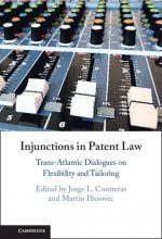 Injunctions in Patent Law