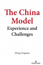 China Model