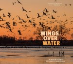 Wings Over Water