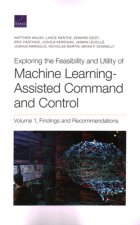Exploring the Feasibility and Utility of Machine Learning-Assisted Command and Control