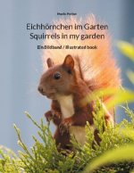 Eichhoernchen im Garten / Squirrels in my garden