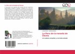La flora de la meseta de Desna