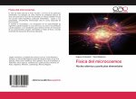 Física del microcosmos