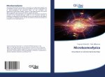 Microkosmosfysica