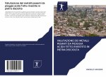 Valutazione dei metalli pesanti da pioggia acida Tetto rivestito in pietra disciolta