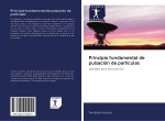 Principio fundamental de pulsación de partículas