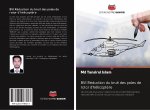 BVI Réduction du bruit des pales de rotor d'hélicopt?re