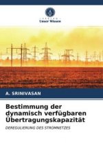 Bestimmung der dynamisch verfügbaren Übertragungskapazität
