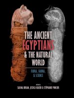 Ancient Egyptians and the Natural World