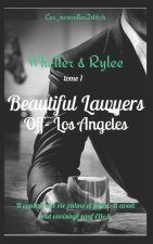 Beautiful Lawyer