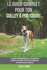 Le guide complet pour ton Colley A Poil Court