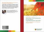 Restriç?es ? Participaç?o da Juventude em Empreendimentos Agrícolas