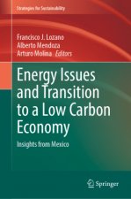 Energy Issues and Transition to a Low Carbon Economy