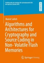 Algorithms and Architectures for Cryptography and Source Coding in Non-Volatile Flash Memories