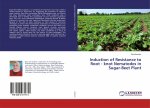 Induction of Resistance to Root - knot Nematodes in Sugar-Beet Plant