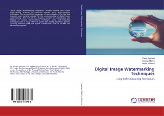 Digital Image Watermarking Techniques