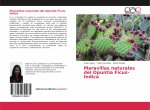 Maravillas naturales del Opuntia Ficus-Indica