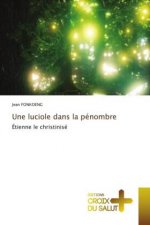 luciole dans la penombre