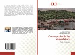 Causes probable des degradations