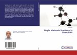 Single Molecule Studies of a Short RNA