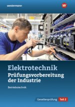 Prüfungsvorbereitung für die industriellen Elektroberufe. Teil 2 der Abschlussprüfung