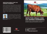 INFECTION VIRALE CHEZ LES GRANDS RUMINANTS