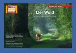 Der Wald / Kamishibai Bildkarten