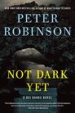 Not Dark Yet