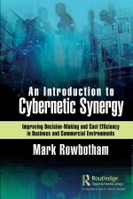 Introduction to Cybernetic Synergy