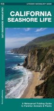 CALIFORNIA SEASHORE LIFE