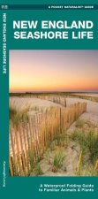NEW ENGLAND SEASHORE LIFE