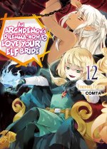 Archdemon's Dilemma: How to Love Your Elf Bride: Volume 12
