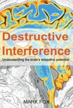Destructive Interference
