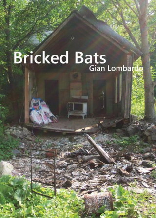Bricked Bats